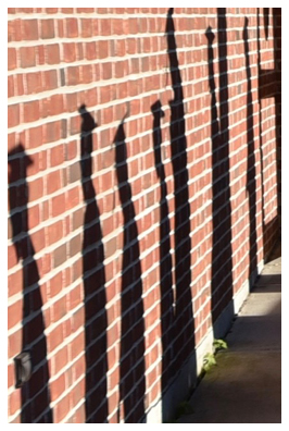 shadows on a wall